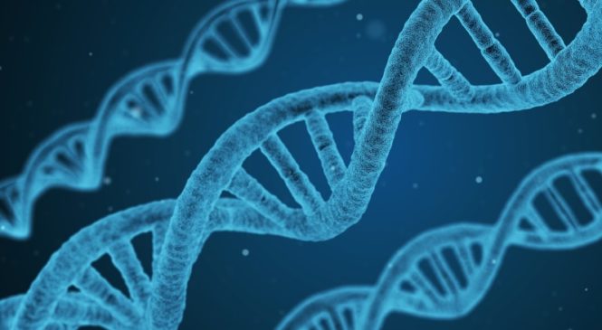 Il ruolo centrale della ghiandola pineale nella Psico-Neuro-Endocrino-Immunologia (PNEI) e nella cura delle malattie sistemiche