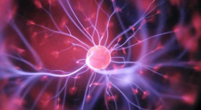 Glioblastoma: l’approccio Pnei che allunga la vita