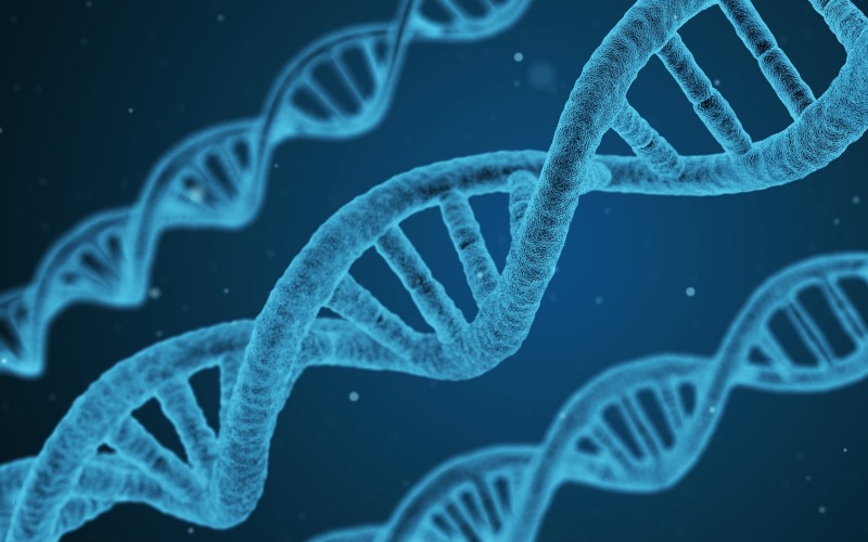 Il ruolo centrale della ghiandola pineale nella Psico-Neuro-Endocrino-Immunologia (PNEI) e nella cura delle malattie sistemiche