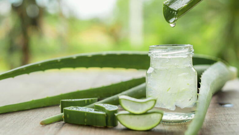 I benefici terapeutici dell’Aloe