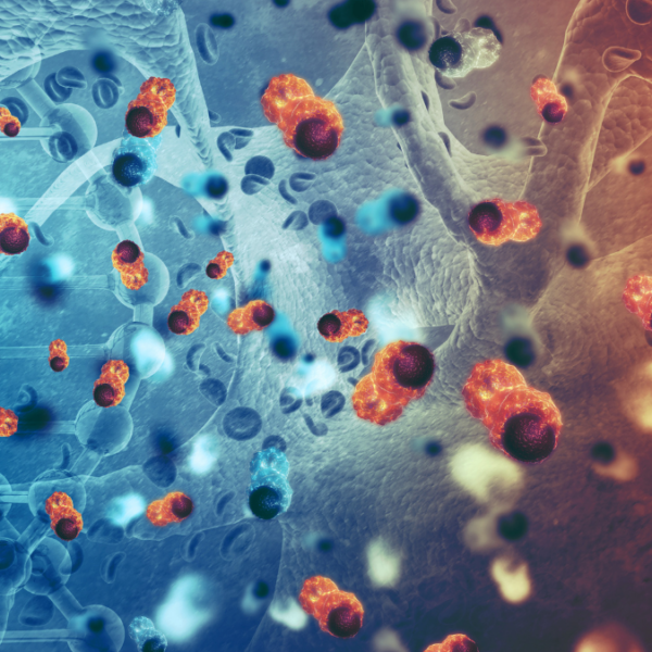 Terapia neuroimmunitaria per la cura di cancro, malattie autoimmuni e neurodegenerative