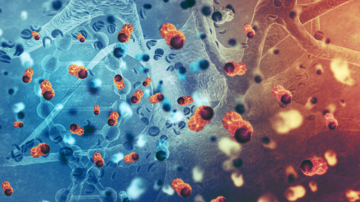 terapia neuroimmunitaria